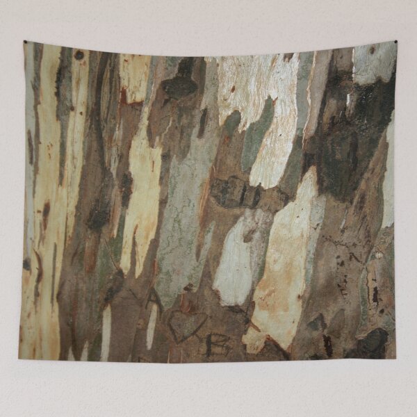 Item preview, Eucalyptus Tree Exfoliating Bark Abstract Photograph designed and sold by taiche.
