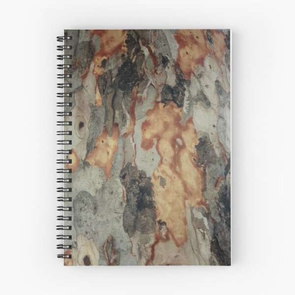 Item preview, Eucalyptus Tree Shedding Bark Abstract Photography designed and sold by taiche.