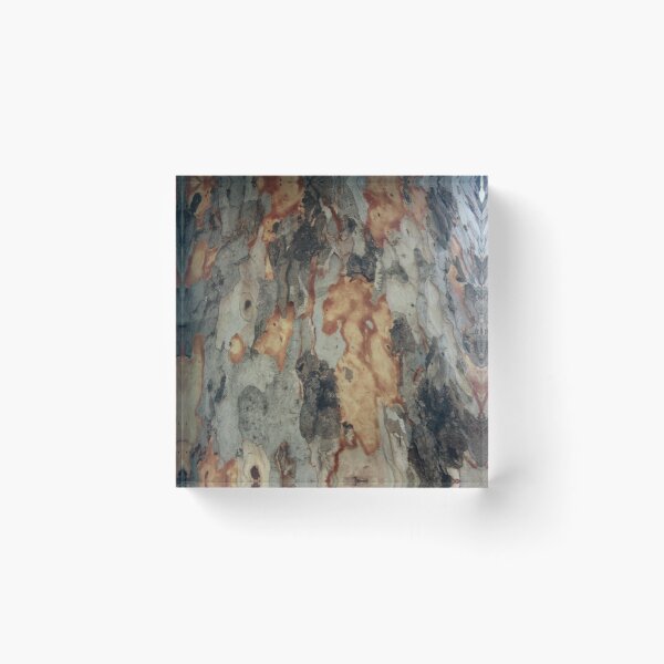 Item preview, Eucalyptus Tree Shedding Bark Abstract Photography designed and sold by taiche.