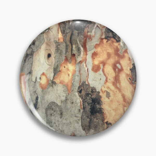 Item preview, Peeling Scales Of Eucalyptus Tree Bark Photography designed and sold by taiche.