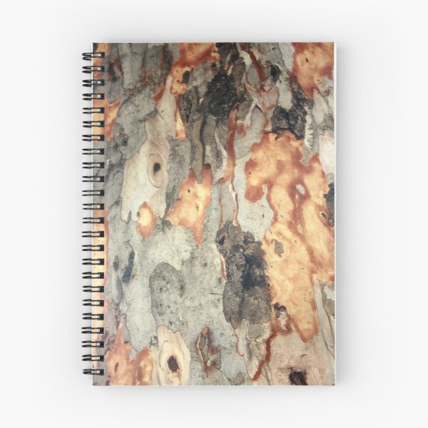 Item preview, Peeling Scales Of Eucalyptus Tree Bark Photography designed and sold by taiche.