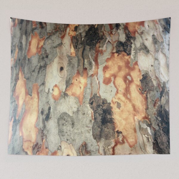 Item preview, Peeling Scales Of Eucalyptus Tree Bark Photography designed and sold by taiche.