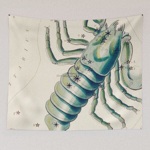 Item preview, Scorpio Zodiac Sign designed and sold by SFTStudio.