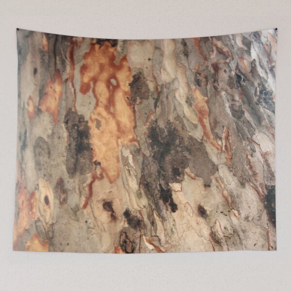 Item preview, Exfoliating Flakes Of Eucalyptus Tree Bark Photography designed and sold by taiche.