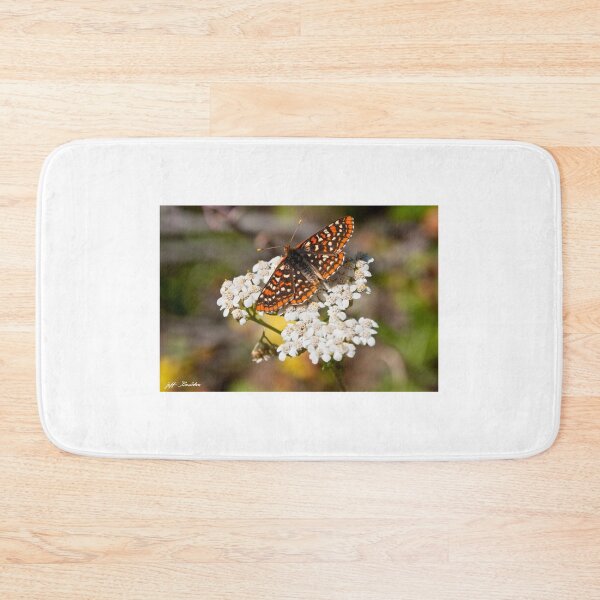 Item preview, Taylor's Checkerspot Butterfly on a Yarrow Blossom designed and sold by Jeff Goulden Photography.