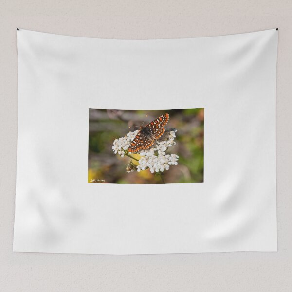 Item preview, Taylor's Checkerspot Butterfly on a Yarrow Blossom designed and sold by Jeff Goulden Photography.