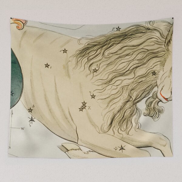 Item preview, Capricorn Zodiac Sign designed and sold by SFTStudio.