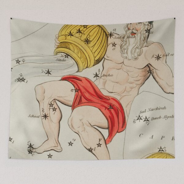 Item preview, Aquarius Zodiac Sign designed and sold by SFTStudio.