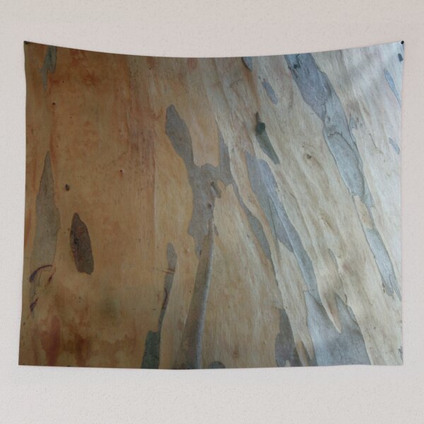 Item preview, Eucalyptus Exposing New Bark Layers Photography designed and sold by taiche.