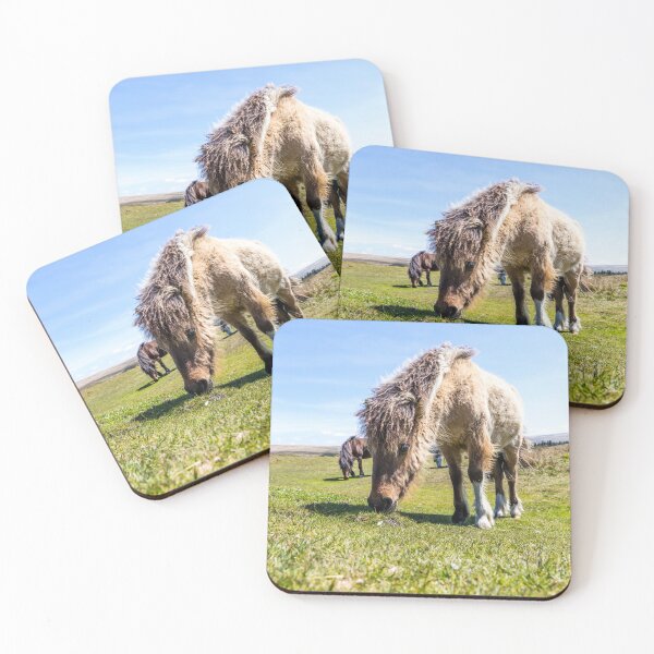 Item preview, Dartmoor Pony  designed and sold by Paul Thompson Photography.