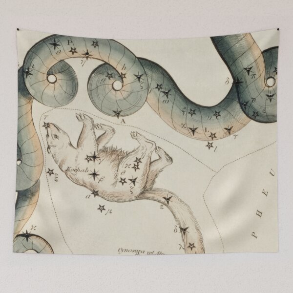 Item preview, Dragon Constellation - Draco and Ursa Minor designed and sold by SFTStudio.