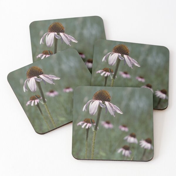 Item preview, Purple Coneflower designed and sold by Jeff Goulden Photography.