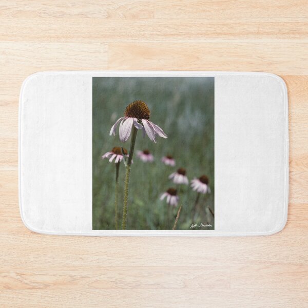 Item preview, Purple Coneflower designed and sold by Jeff Goulden Photography.