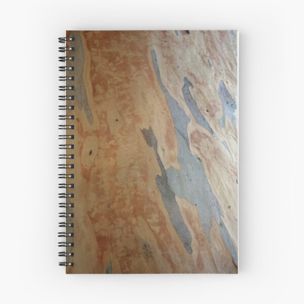 Item preview, Striking Patterns Of Stripes And Flakes Eucalyptus Photography designed and sold by taiche.