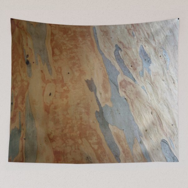 Item preview, Striking Patterns Of Stripes And Flakes Eucalyptus Photography designed and sold by taiche.