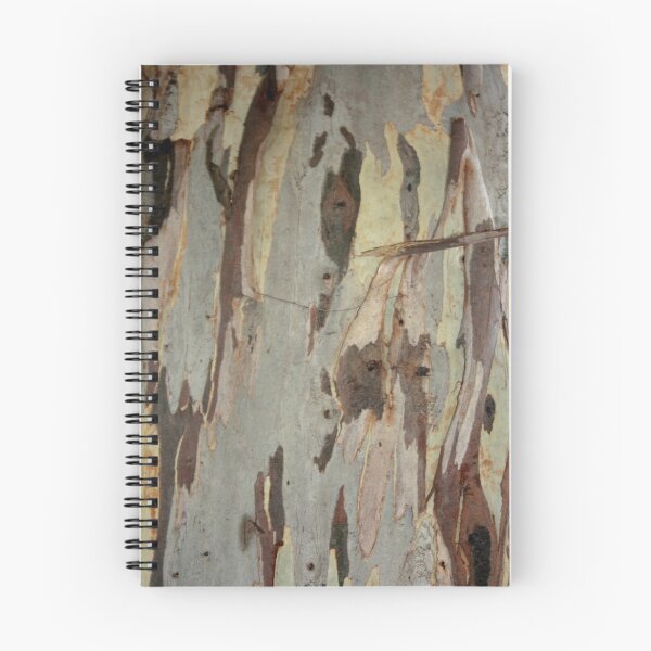 Item preview, Peeling Patterns Of Eucalyptus Bark Nature Photography designed and sold by taiche.