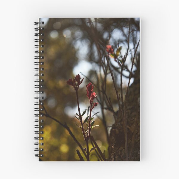 Item preview, "Bromo-Tengger-Semeru National Park" 5 of 6 designed and sold by Andreas Koerner.