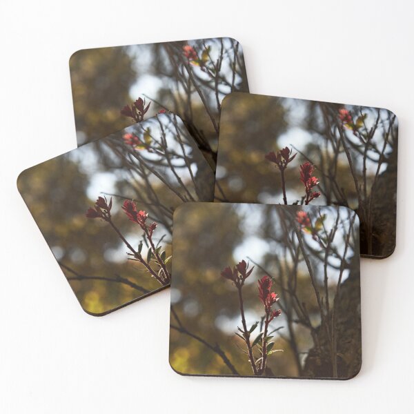 Item preview, "Bromo-Tengger-Semeru National Park" 5 of 6 designed and sold by Andreas Koerner.