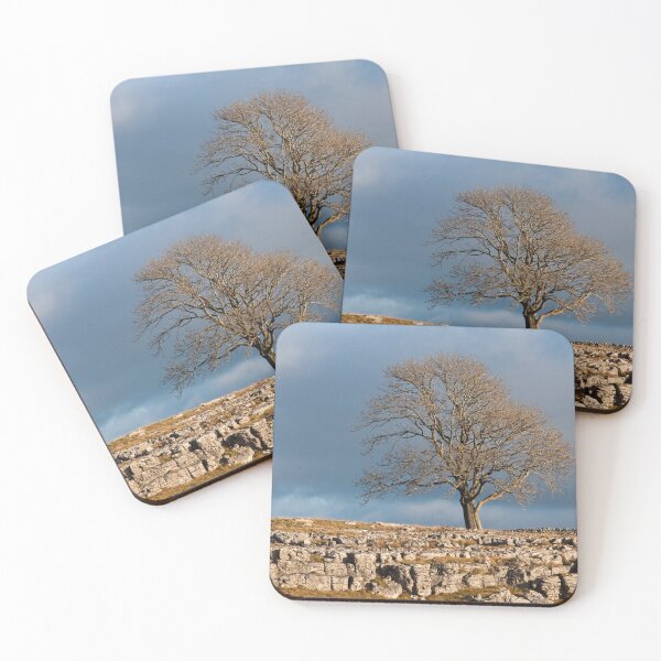 Item preview, A Solitary Tree on a limestone pavement on Malham Moor in the Yorkshire Dales National Park. designed and sold by Cameranick.
