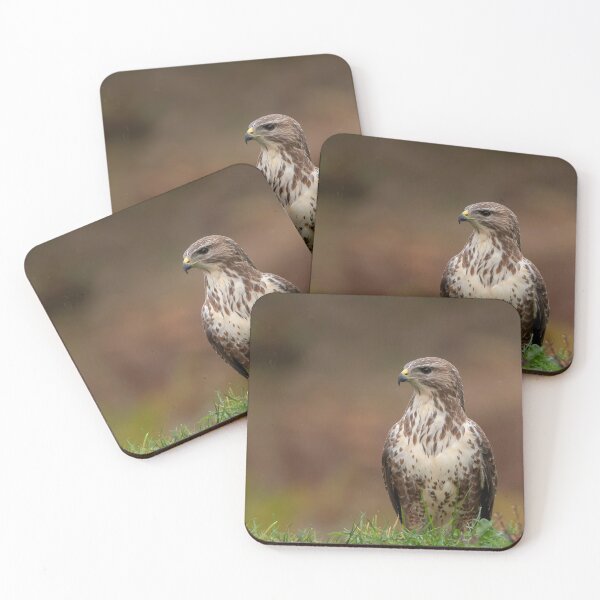 Item preview, Buzzard designed and sold by Glenn Welch.