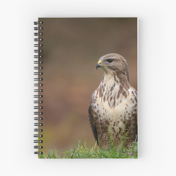 Item preview, Buzzard designed and sold by Glenn Welch.