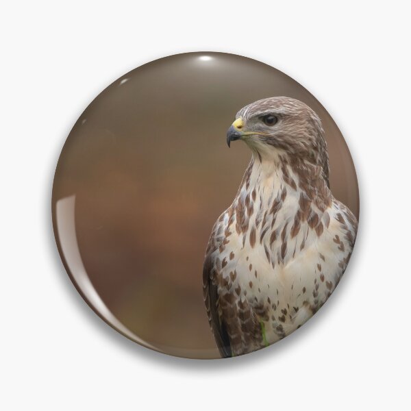 Item preview, Buzzard designed and sold by Glenn Welch.