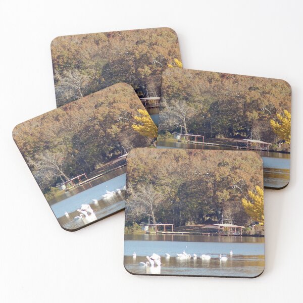 Item preview, Pelicans on a fall day designed and sold by scottyp143.