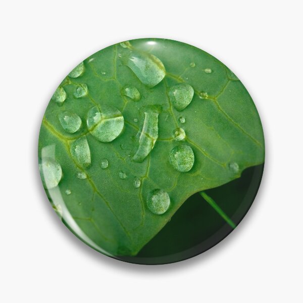Item preview, After the rain. designed and sold by M-project.