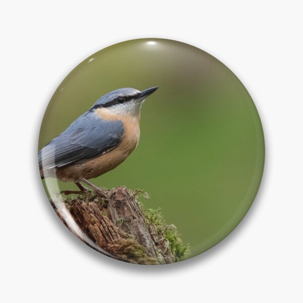 Item preview, Nuthatch designed and sold by Glenn Welch.