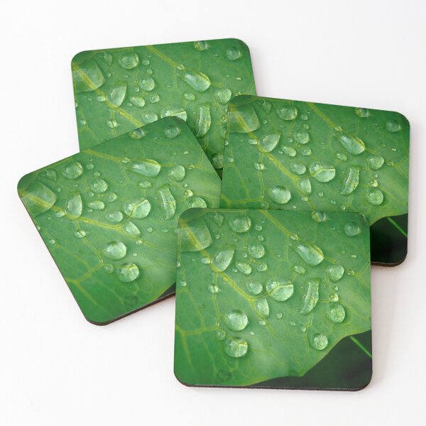 Item preview, After the rain. designed and sold by M-project.