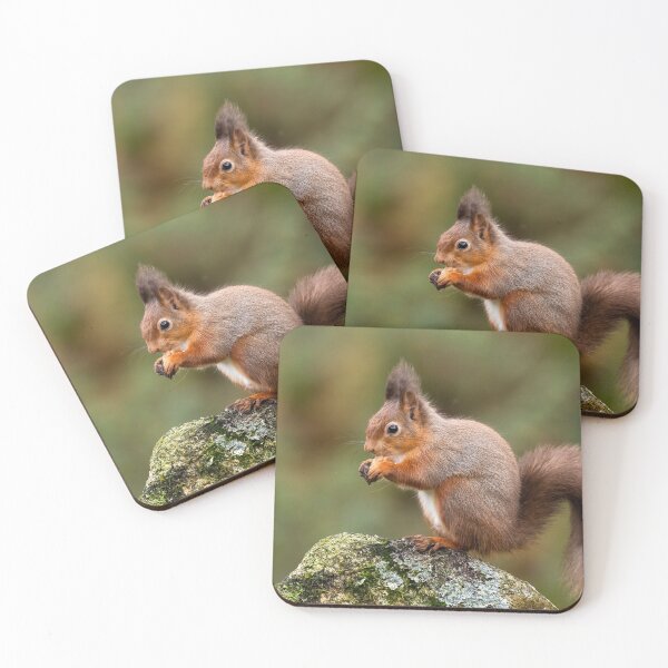 Item preview, Red Squirrel designed and sold by Glenn Welch.