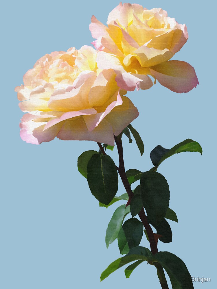 Yellow & Pink Rose by Brinjen