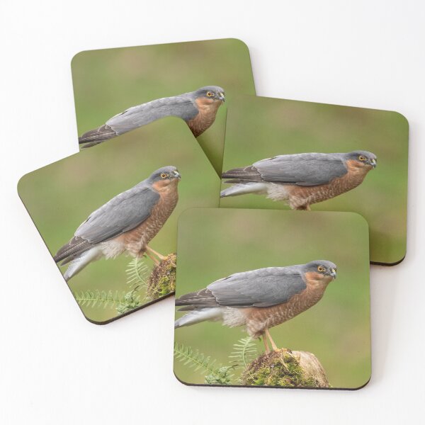 Item preview, Sparrowhawk designed and sold by Glenn Welch.