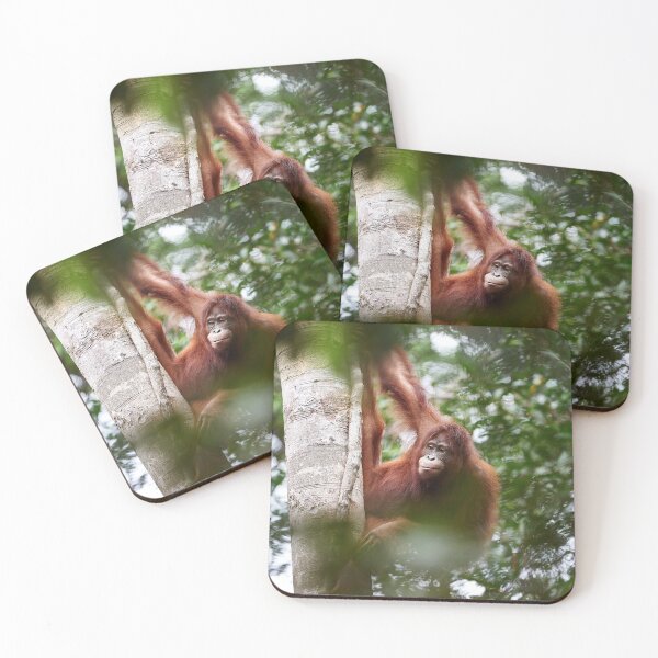 Item preview, "satisfied" designed and sold by Andreas Koerner.