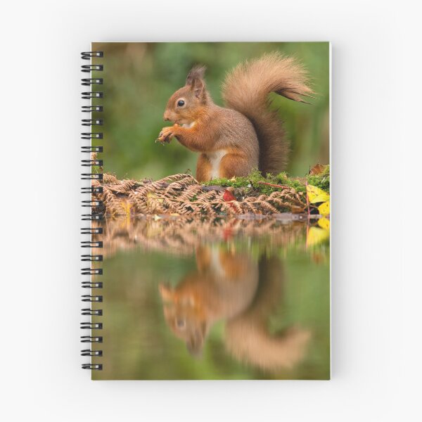 Item preview, Red Squirrel reflection designed and sold by Glenn Welch.