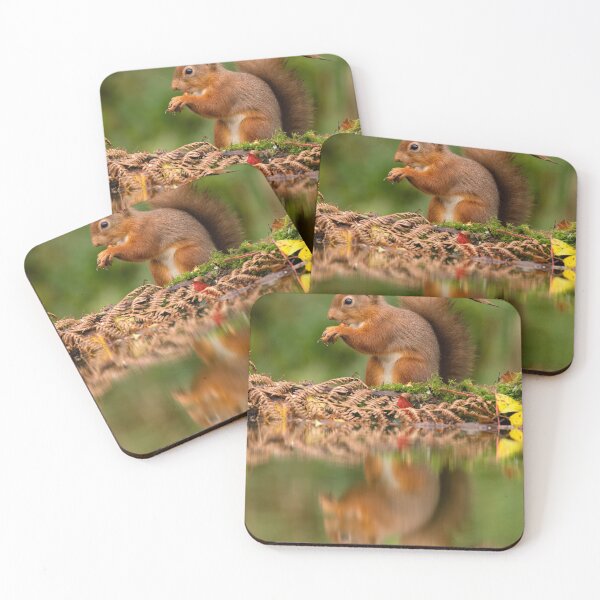 Item preview, Red Squirrel reflection designed and sold by Glenn Welch.