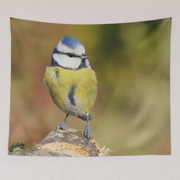 Item preview, 2524/   (2)  Okaio   2018   designed and sold by o.okaïo.