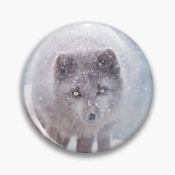 Item preview, Arctic Fox in Winter, Iceland designed and sold by dgwildlife.