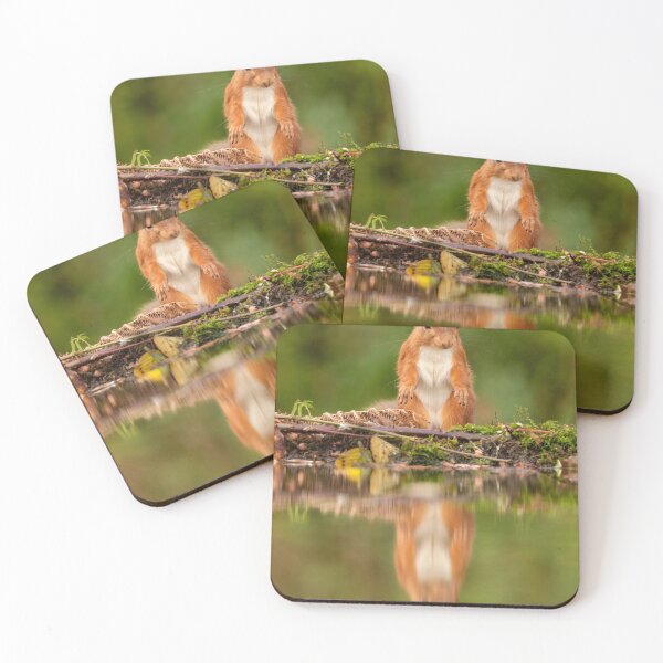 Item preview, Red Squirrel reflection designed and sold by Glenn Welch.