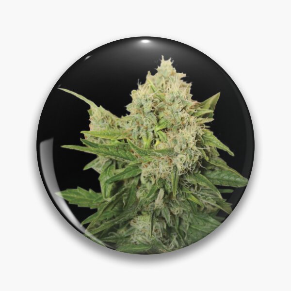 Item preview, Cannabis Bud real designed and sold by SiddharthaMoon.