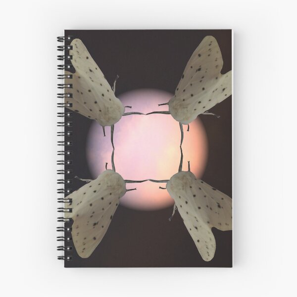 Item preview, Moth dance at sunset designed and sold by Sandra Willis.