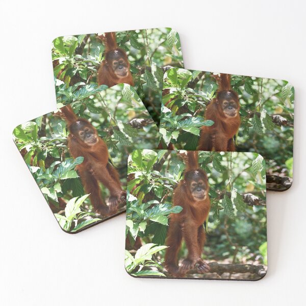 Item preview, "Valentino in Portrait" 5 of 6 designed and sold by Andreas Koerner.