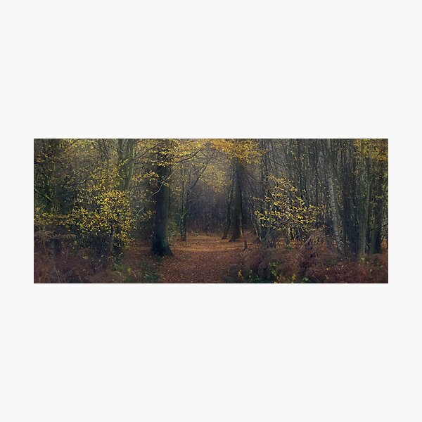 Item preview, Mystical Woodland designed and sold by AnitaLynne.