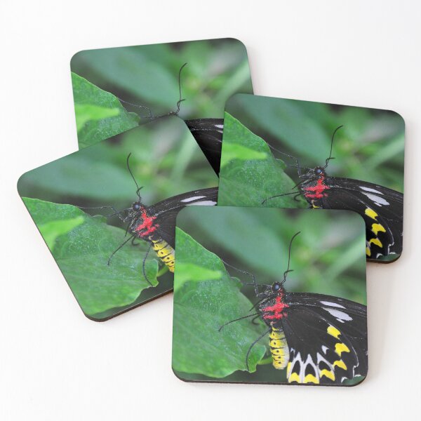 Item preview, Butterfly designed and sold by The Crafty Farmer.