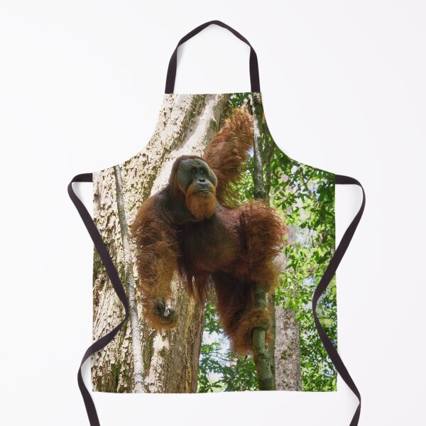 Item preview, "Master of the area" designed and sold by Andreas Koerner.
