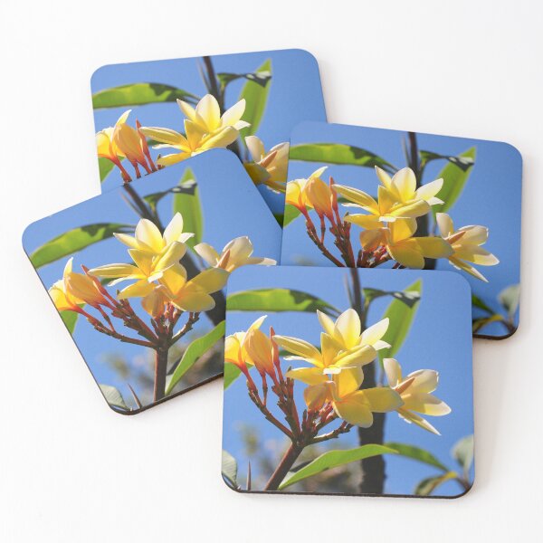 Item preview, Plumeria designed and sold by The Crafty Farmer.