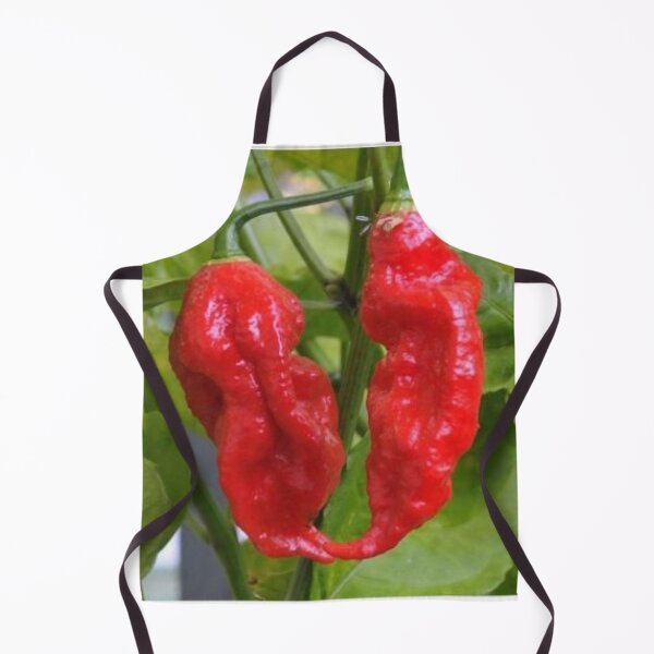 Artikelvorschau, König Chili entworfen und verkauft von Deals Tobuy2020.