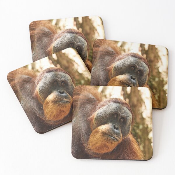 Item preview, "Chief in portrait" designed and sold by Andreas Koerner.
