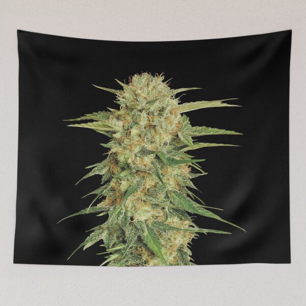 Item preview, Cannabis Bud Zoom designed and sold by SiddharthaMoon.