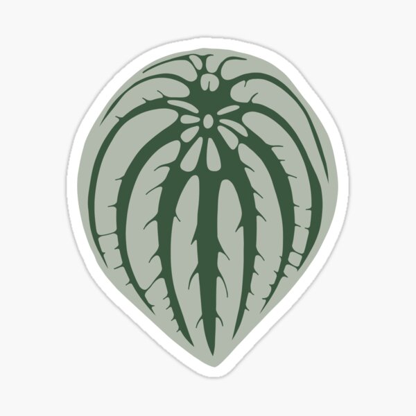 Watermelon Peperomia Leaf Sticker